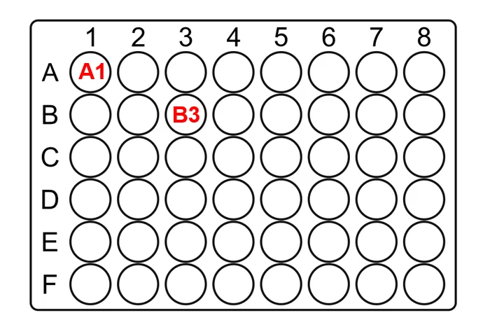 示例孔板孔位与 JSON protocol 中 well 字段的对应关系