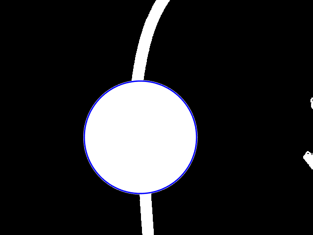 圆形检测测试图，展示输入图像和检测到的圆心位置