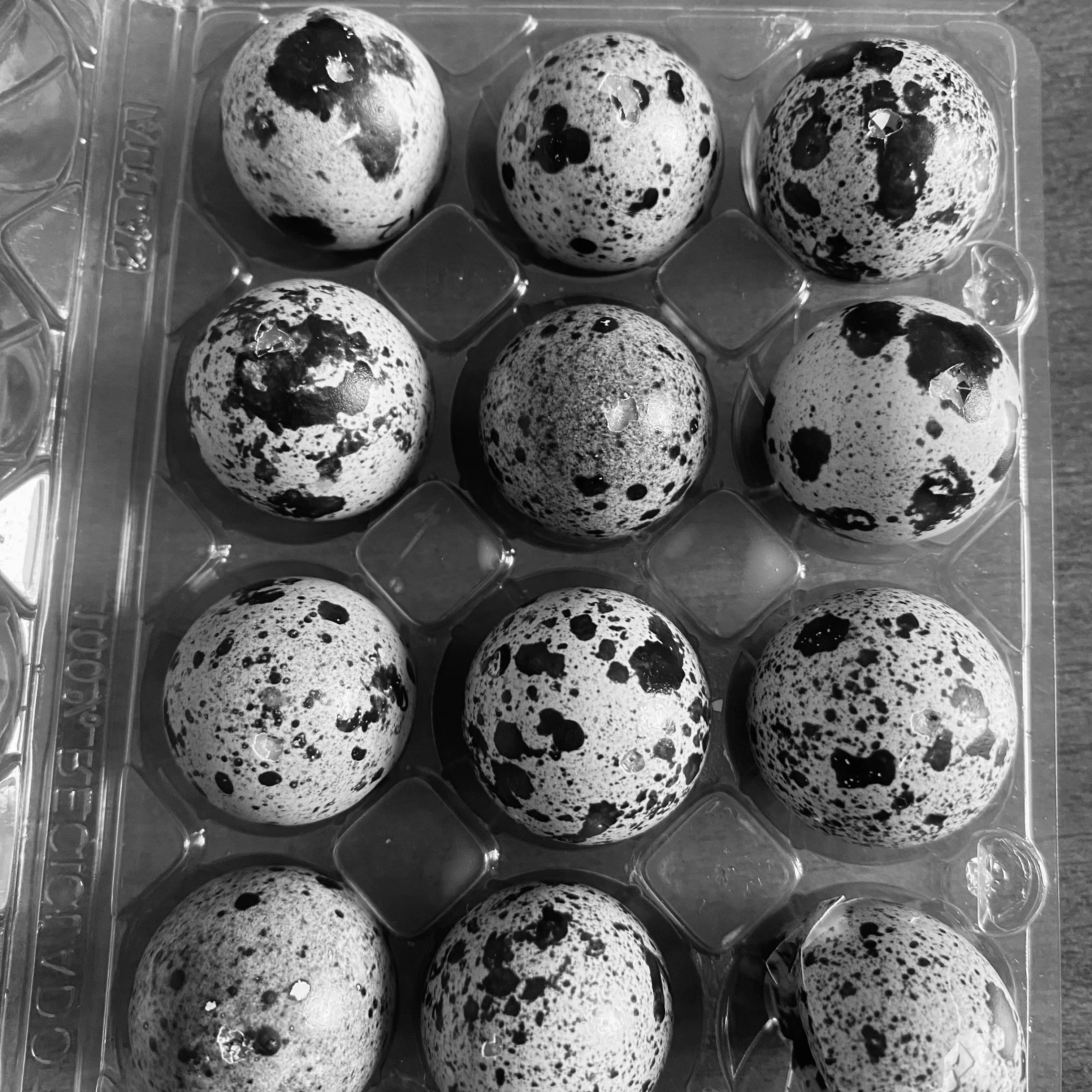 鹌鹑蛋测试照片